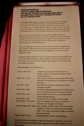 n_155.jpg