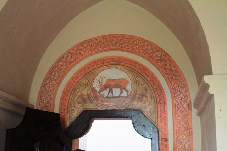 n_447.jpg