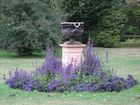 img_1879s.jpg