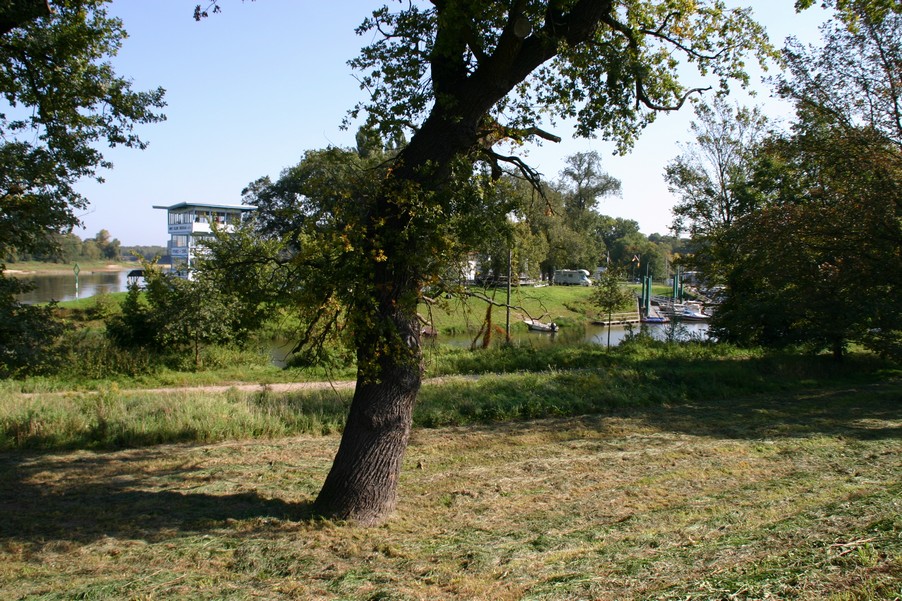 n_12_00_25.jpg