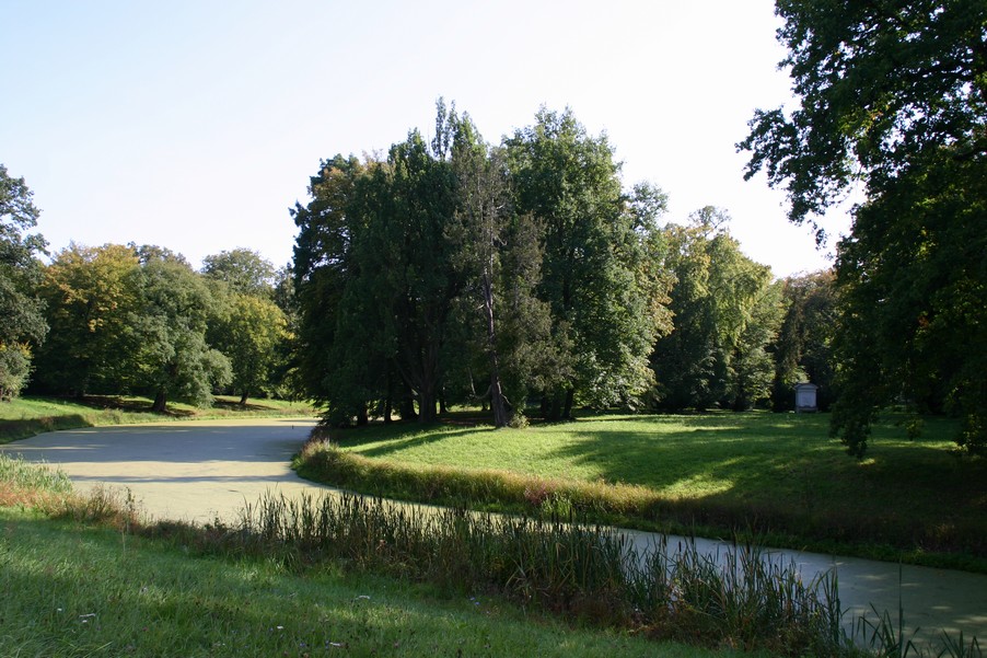 n_14_40_47.jpg