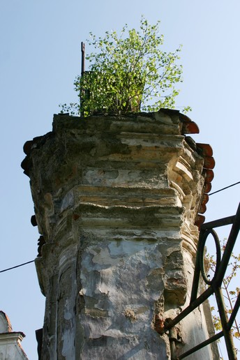n_09.18.01.jpg