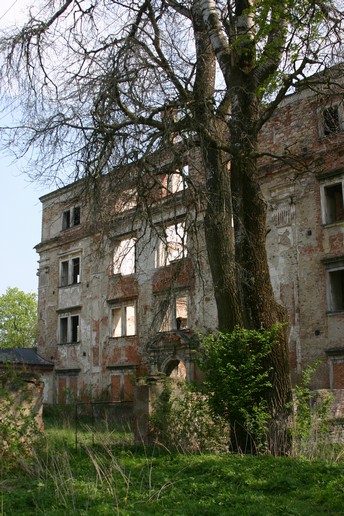 n_11.15.45.jpg