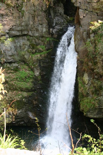 n_13.39.03.jpg
