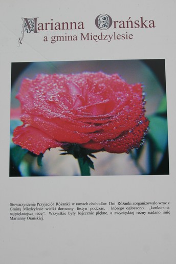n_14.33.44.jpg