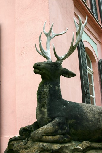 n_1251.jpg
