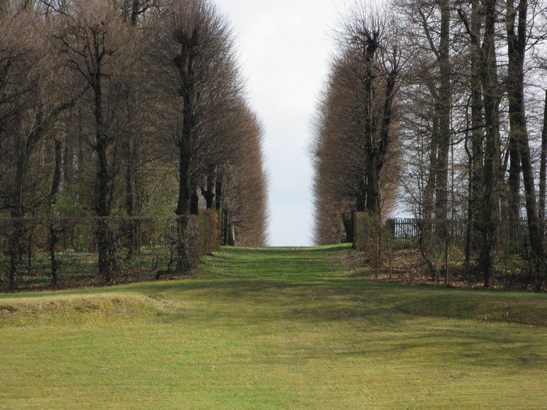 n_1554.jpg