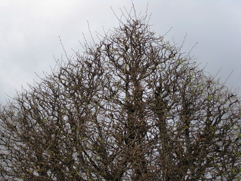 n_1652.jpg