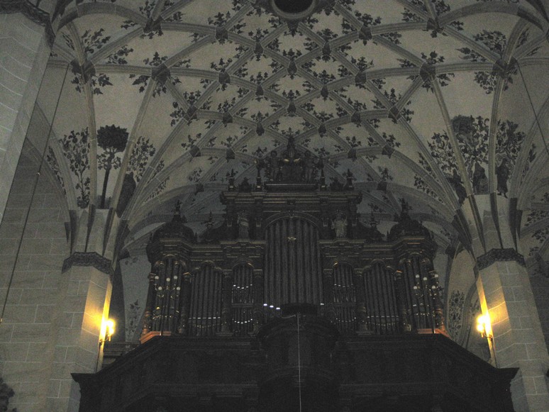 n_1805.jpg