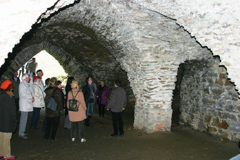 n_1446.jpg