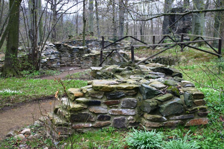 n_1456.jpg